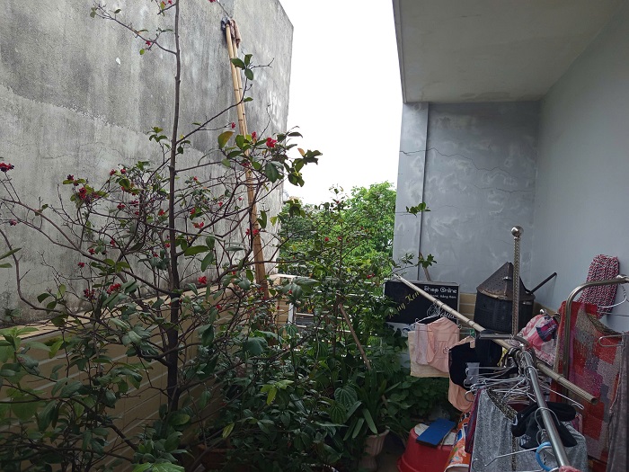BÁN NHÀ ĐƯỜNG NGUYỄN CÔNG HÒA – LÊ CHÂN – HẢI PHÒNG 